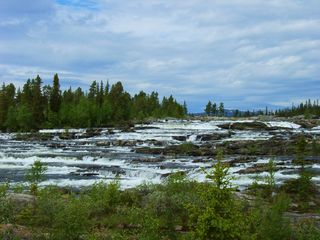 Vildmarksvägen_Trappstegsforsen